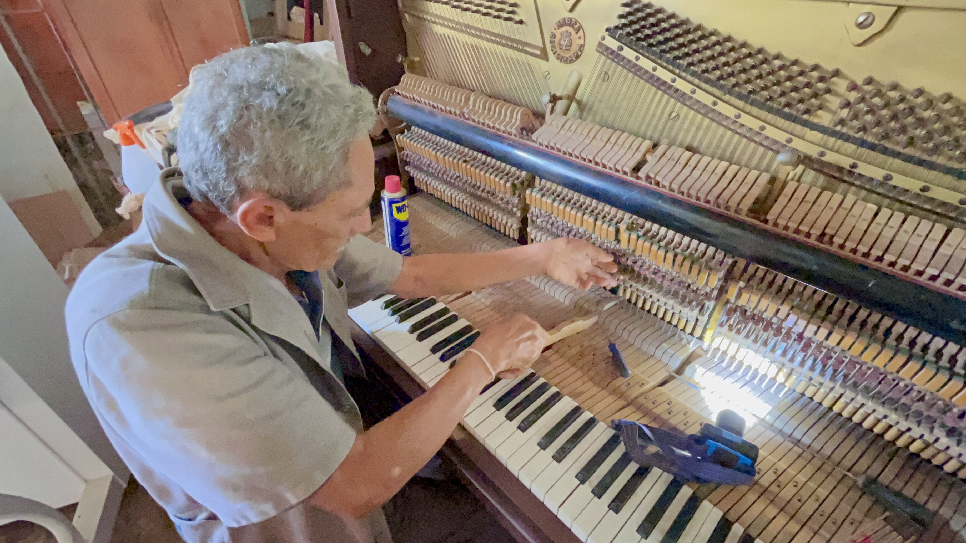 Foto: Andréa Moura
